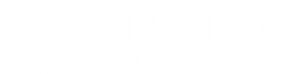 Dynamic Wealth Strategies
